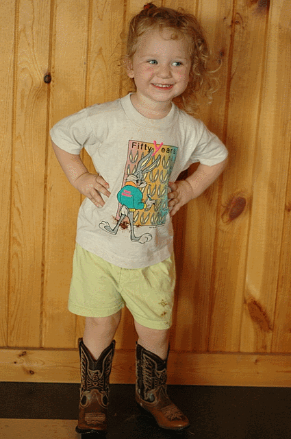 img1.gif